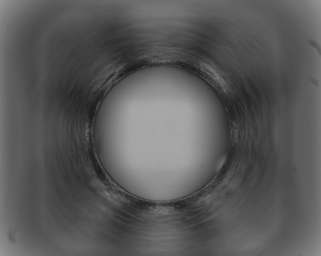 X0000091950549200709061042