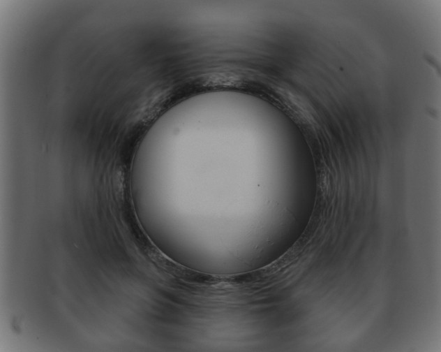 X0000091950551200709061042
