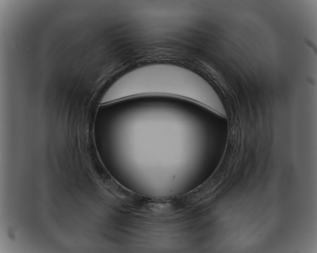 X0000091950552200709061042