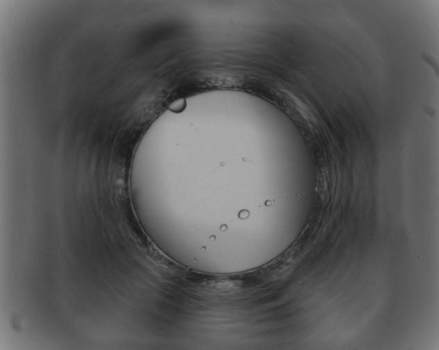 X0000091950553200709061042