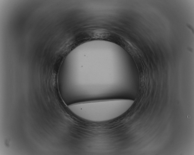 X0000091950554200709061042