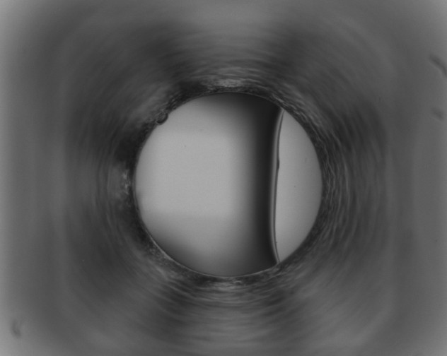 X0000091950555200709061042