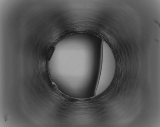 X0000091950556200709061042