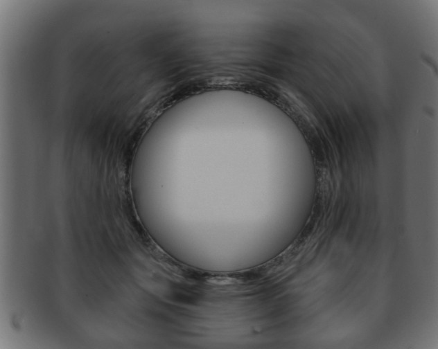 X0000091950557200709061042