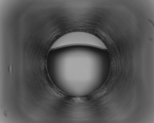 X0000091950558200709061042