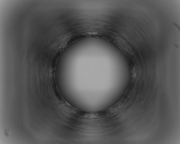 X0000091950559200709061042