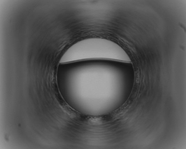 X0000091950560200709061042