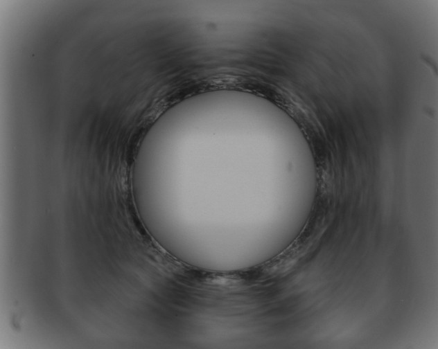 X0000091950561200709061042