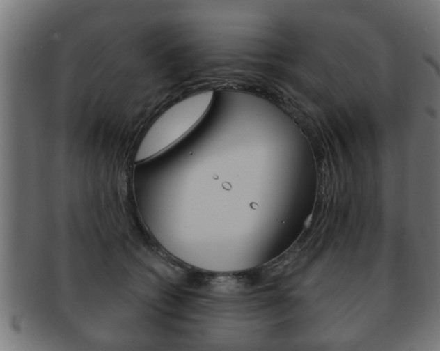 X0000091950562200709061042