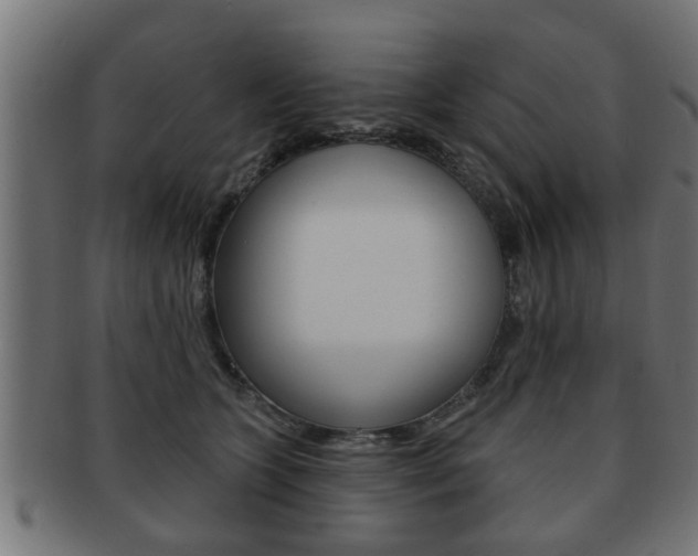 X0000091950563200709061042