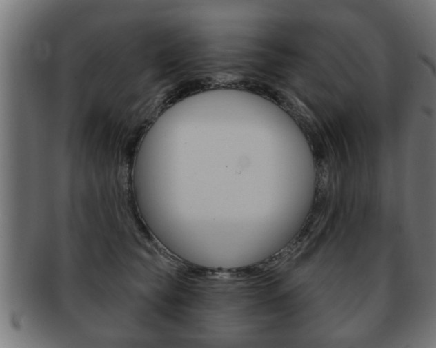 X0000091950565200709061042
