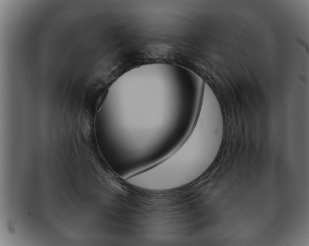 X0000091950566200709061042