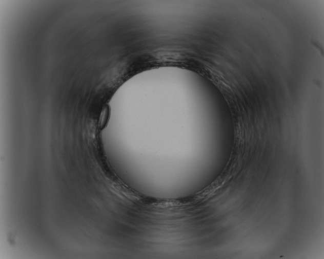 X0000091950567200709061042