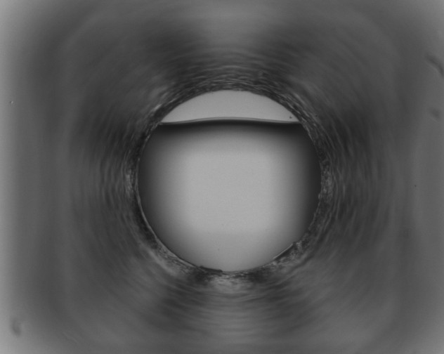 X0000091950568200709061042