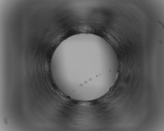 X0000091950569200709061042