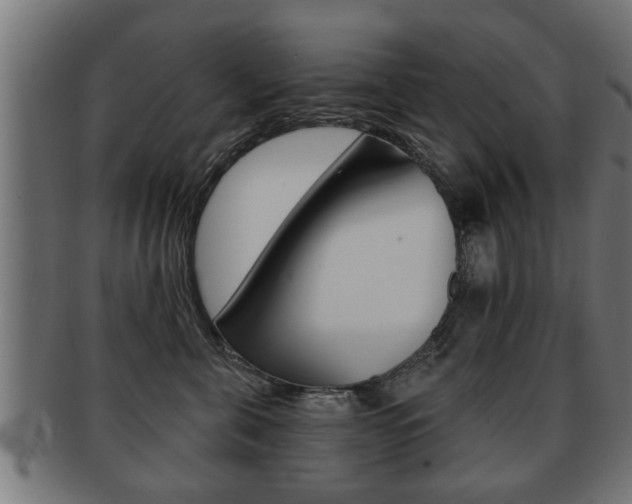 X0000091950571200709061042