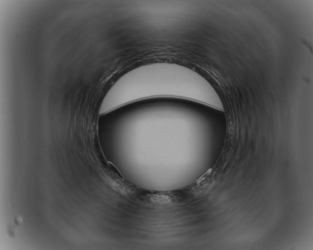 X0000091950572200709061042