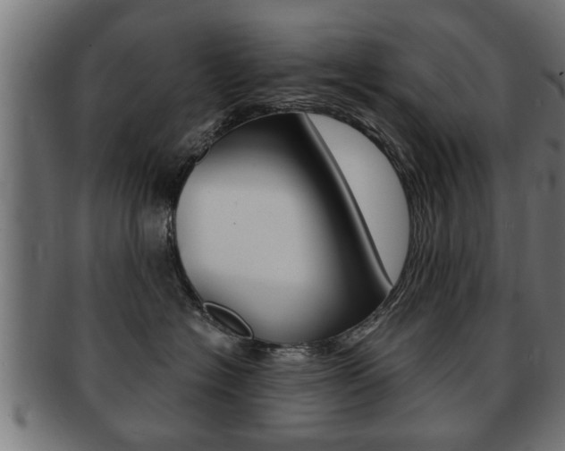 X0000091950574200709061042