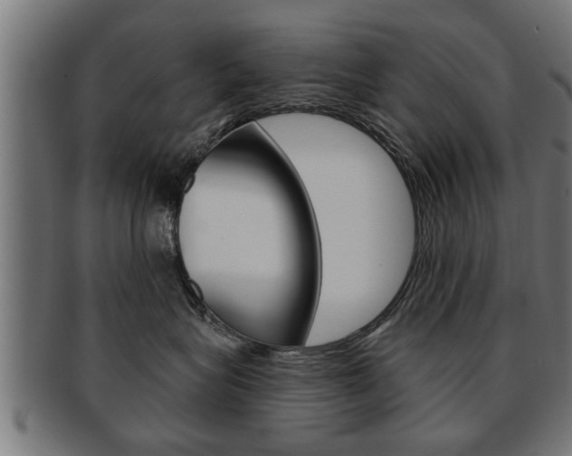 X0000091950575200709061042
