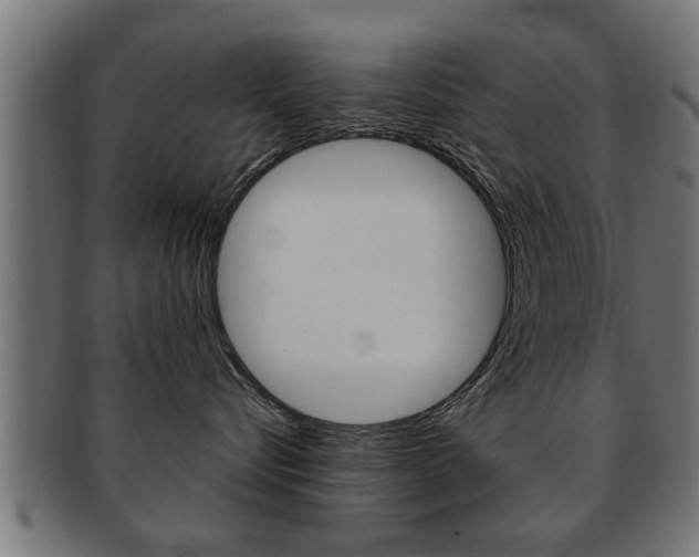 X0000091950576200709061042