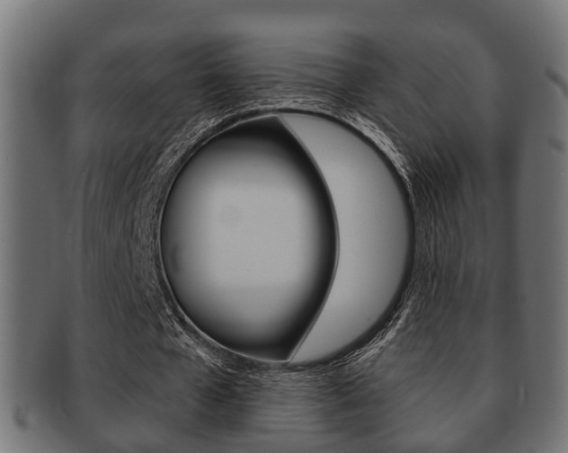 X0000091950577200709061042