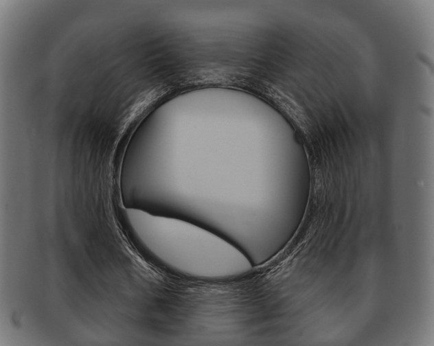 X0000091950578200709061042