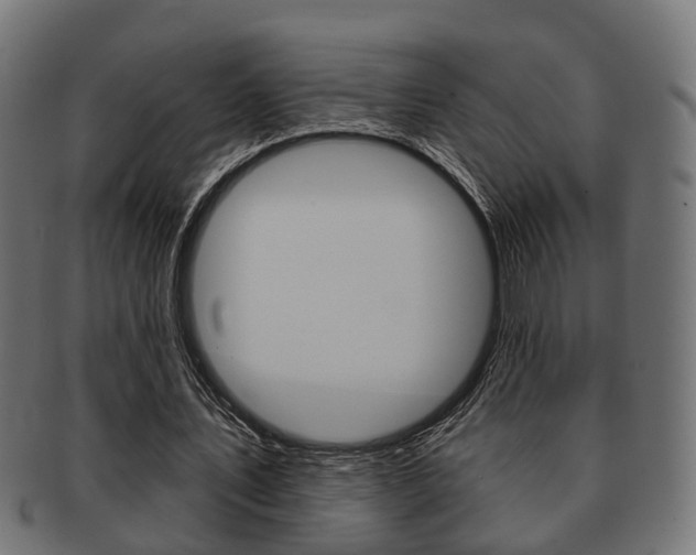 X0000091950579200709061041