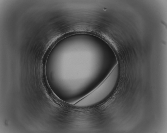 X0000091950580200709061041