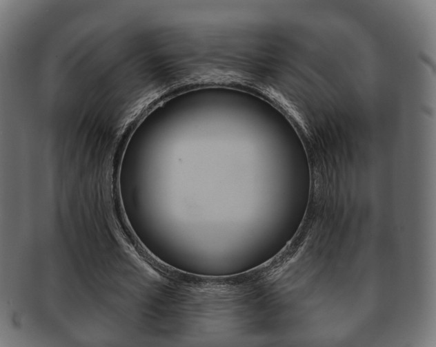X0000091950581200709061041