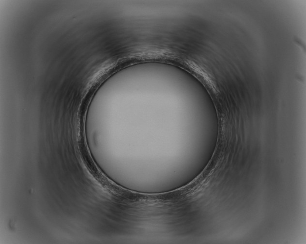 X0000091950582200709061041
