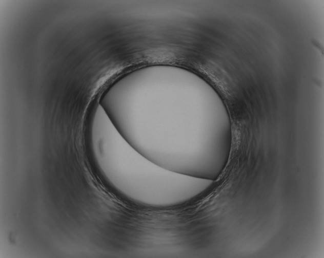 X0000091950583200709061041