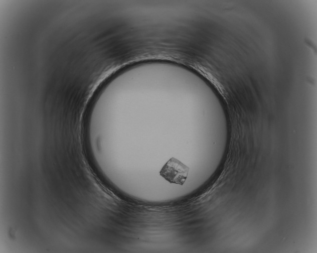 X0000091950584200709061041