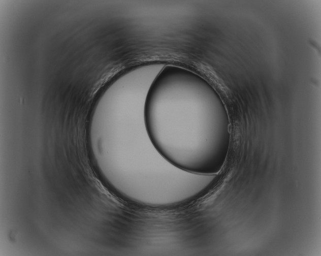 X0000091950585200709061041