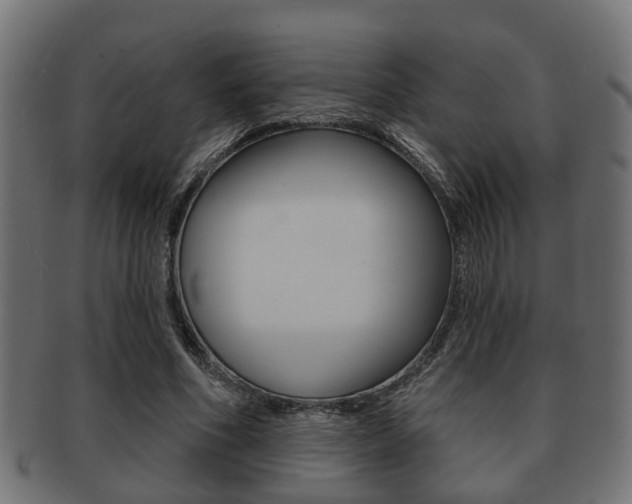 X0000091950586200709061041