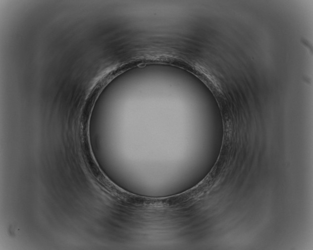 X0000091950587200709061041