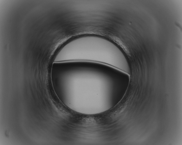 X0000091950588200709061041