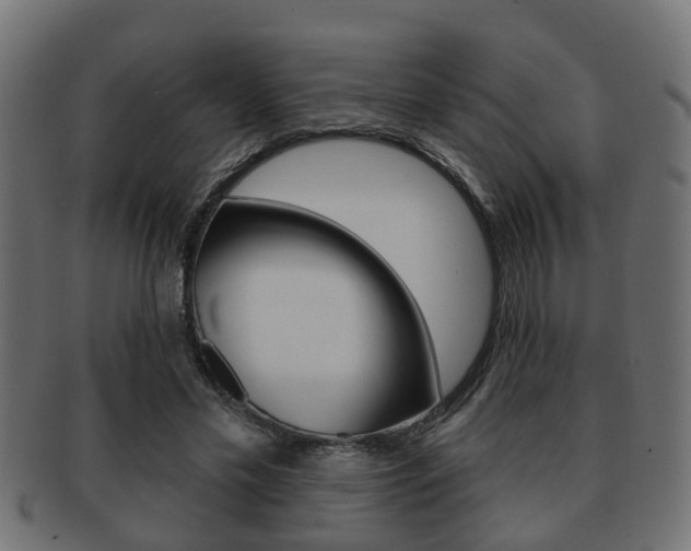 X0000091950589200709061041