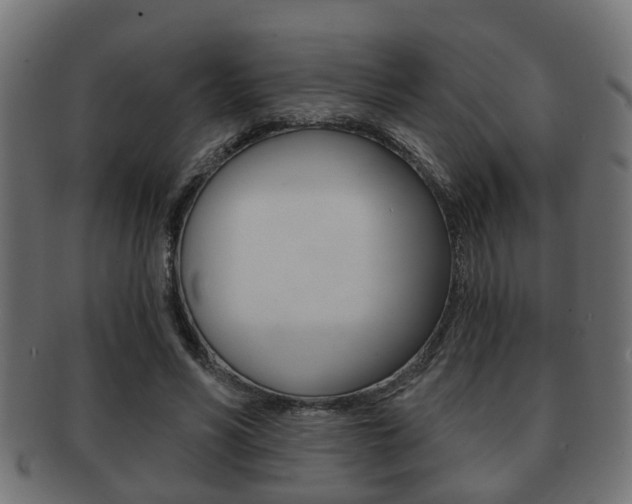 X0000091950590200709061041