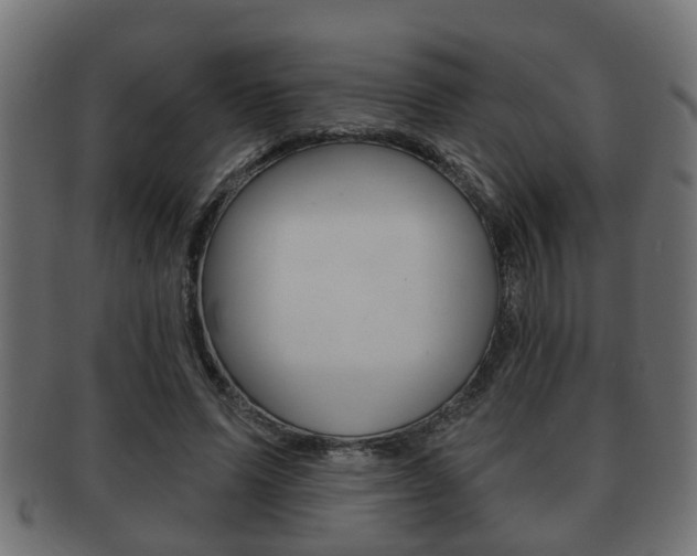 X0000091950591200709061041