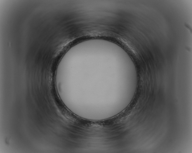 X0000091950592200709061041