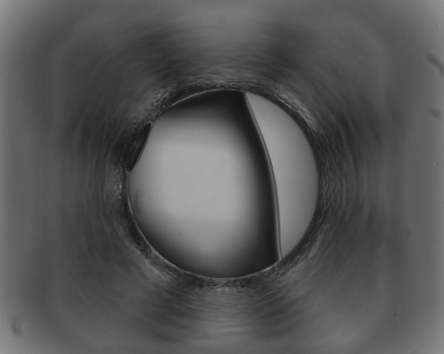 X0000091950593200709061041
