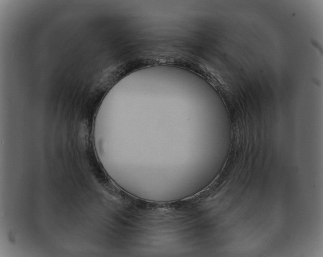 X0000091950594200709061041