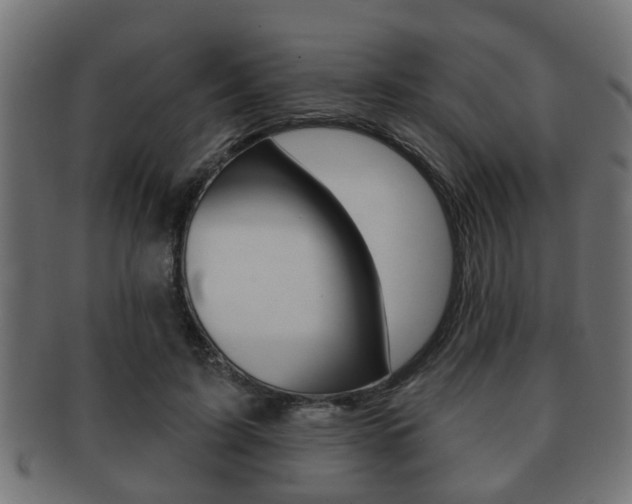 X0000091950595200709061041