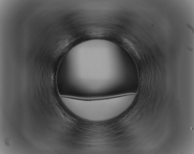 X0000091950596200709061041