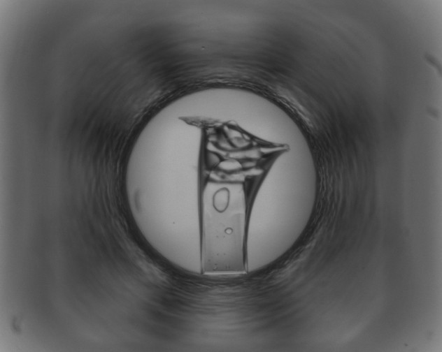 X0000091950597200709061041