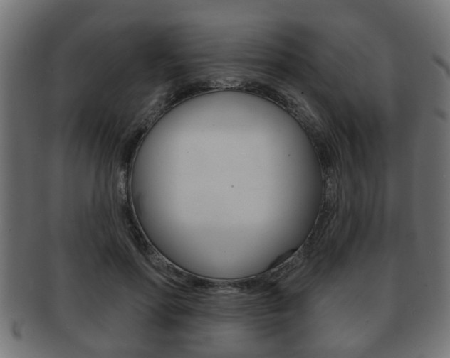 X0000091950598200709061041