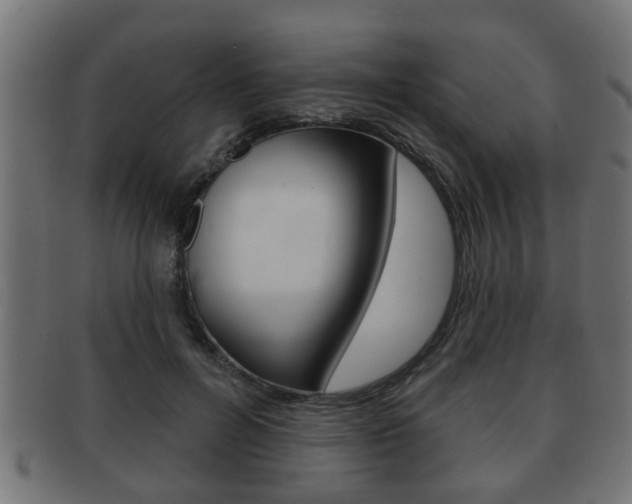 X0000091950600200709061041