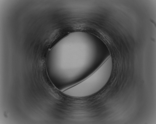 X0000091950601200709061041