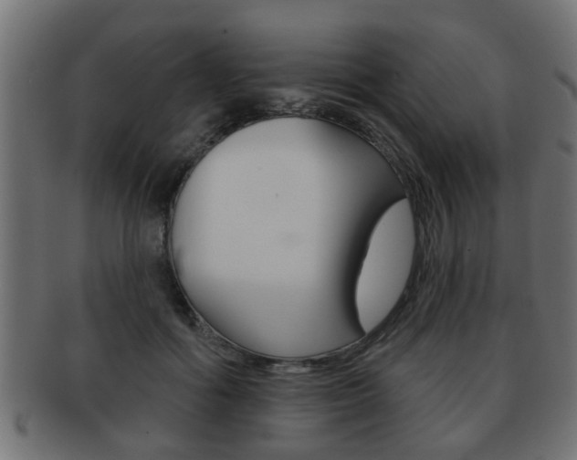 X0000091950602200709061041