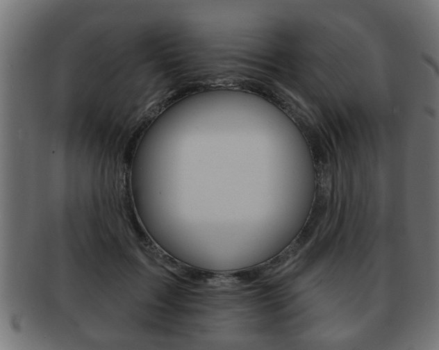X0000091950603200709061041